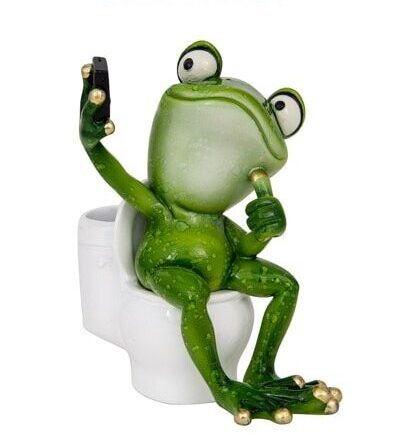 Frog Selfie On Toilet