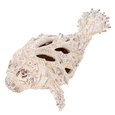 Coral Look Manatee
