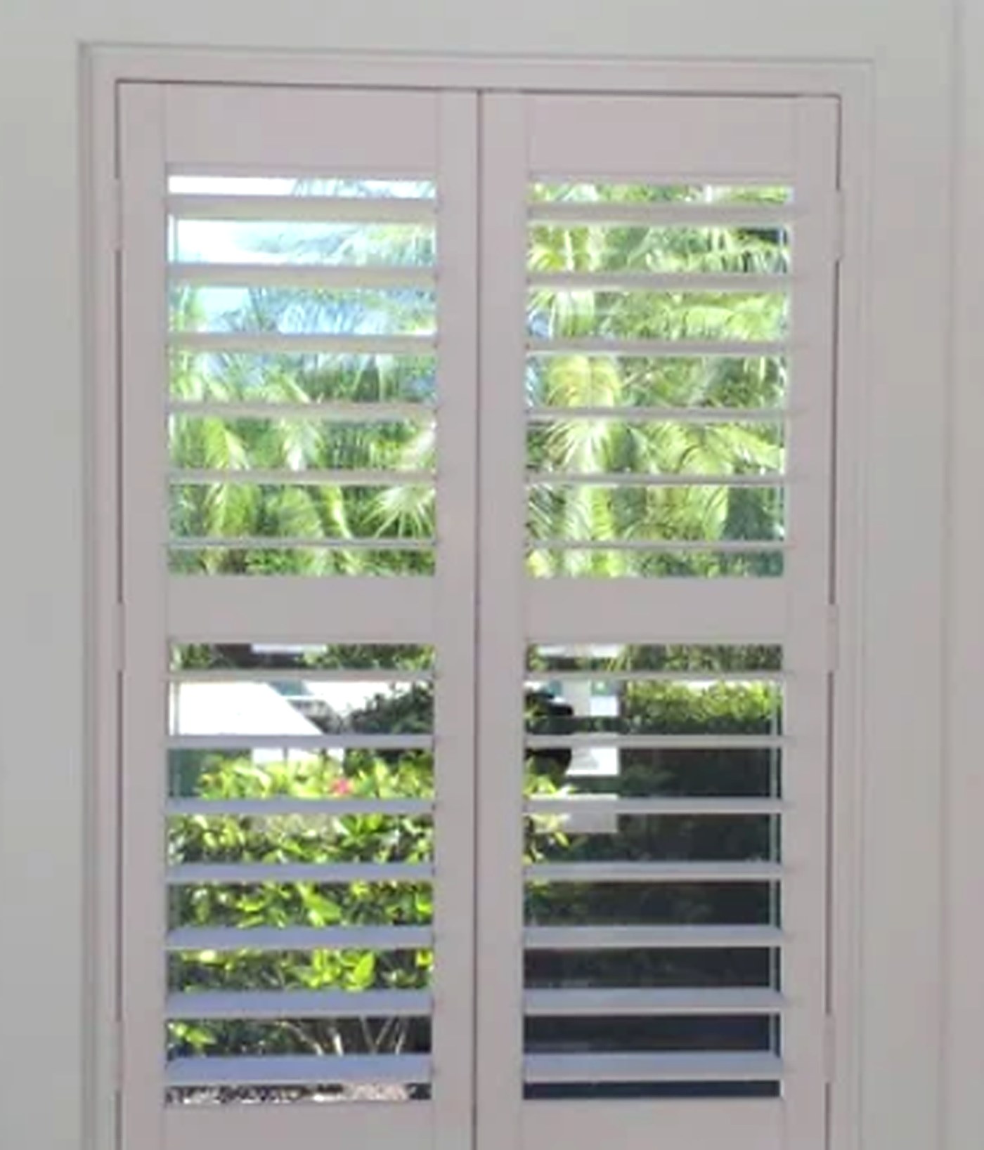 White plantation shutters on a pair of doors looking out to palms and a garden