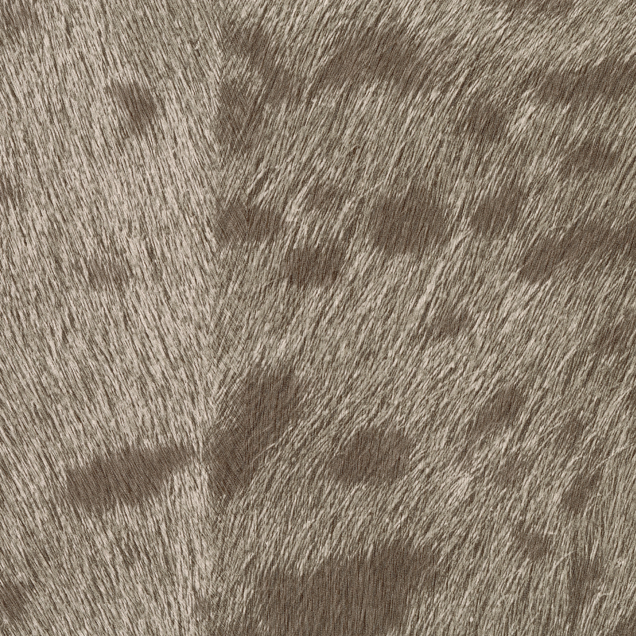 Élitis Panthère — À pas de velours wallpaper