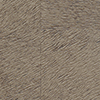 Élitis Movida HPC — Atout majeur wallpaper detail