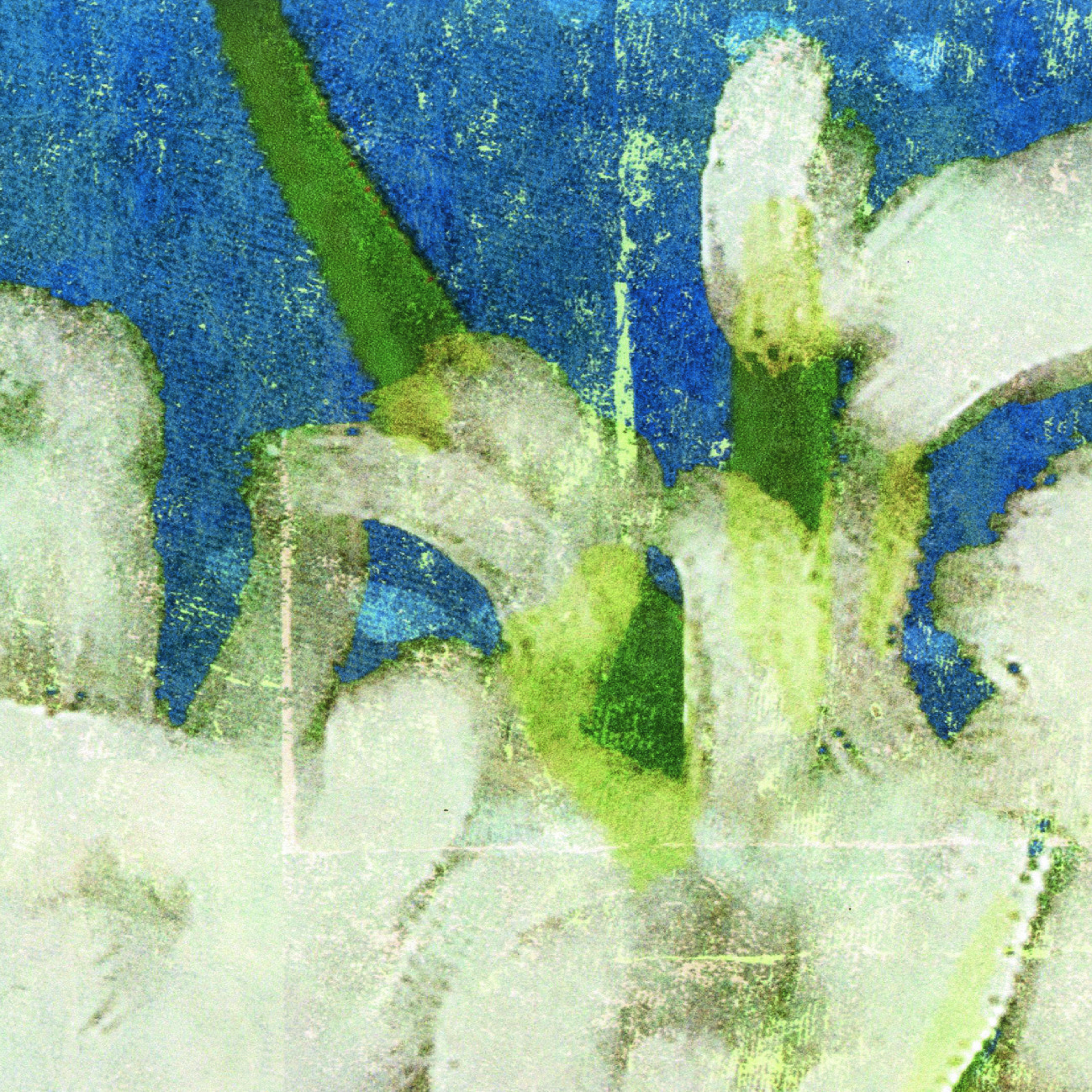 Élitis Mémoire d'un jardin — Les roses de l'art wallpaper detail