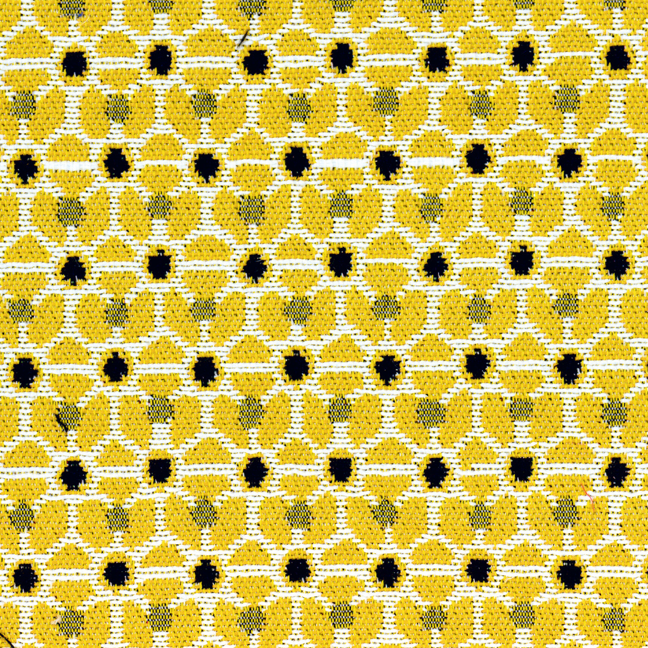 Élitis Rumba — Sous les rayons du soleil wallpaper detail