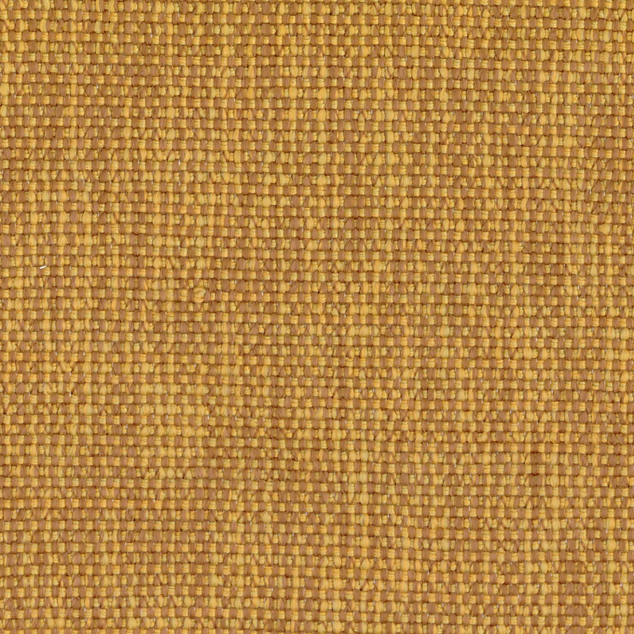 Élitis Formosa — Impression chaleureuse 95% PP FR 5% PL FR wallpaper in Impression chaleureuse