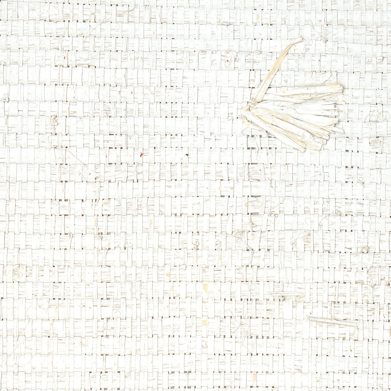 Élitis Nosy Be — La douceur et la grâce wallpaper detail