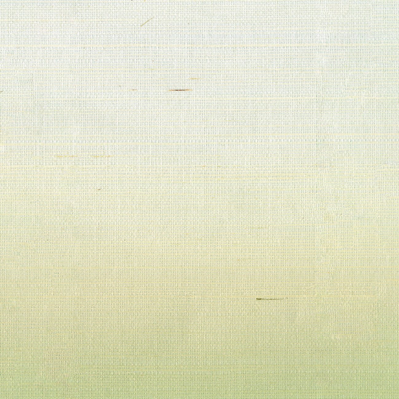 Élitis Poésies de l'instant — Un frémissement lumineux 100% Sisal on paper backing wallpaper in Un frémissement lumineux