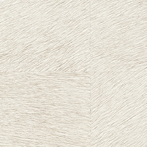 Élitis Movida HPC — Une valeur fondamentale wallpaper