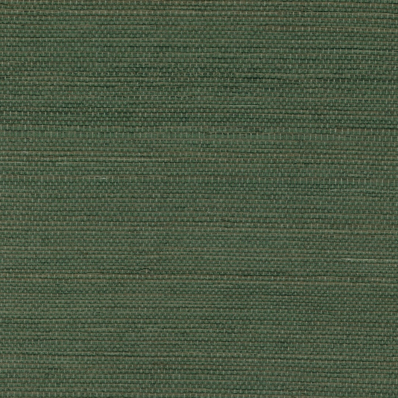 Élitis Sisal — Au milieu de la garrigue 100% Sisal on paper backing wallpaper in Au milieu de la garrigue