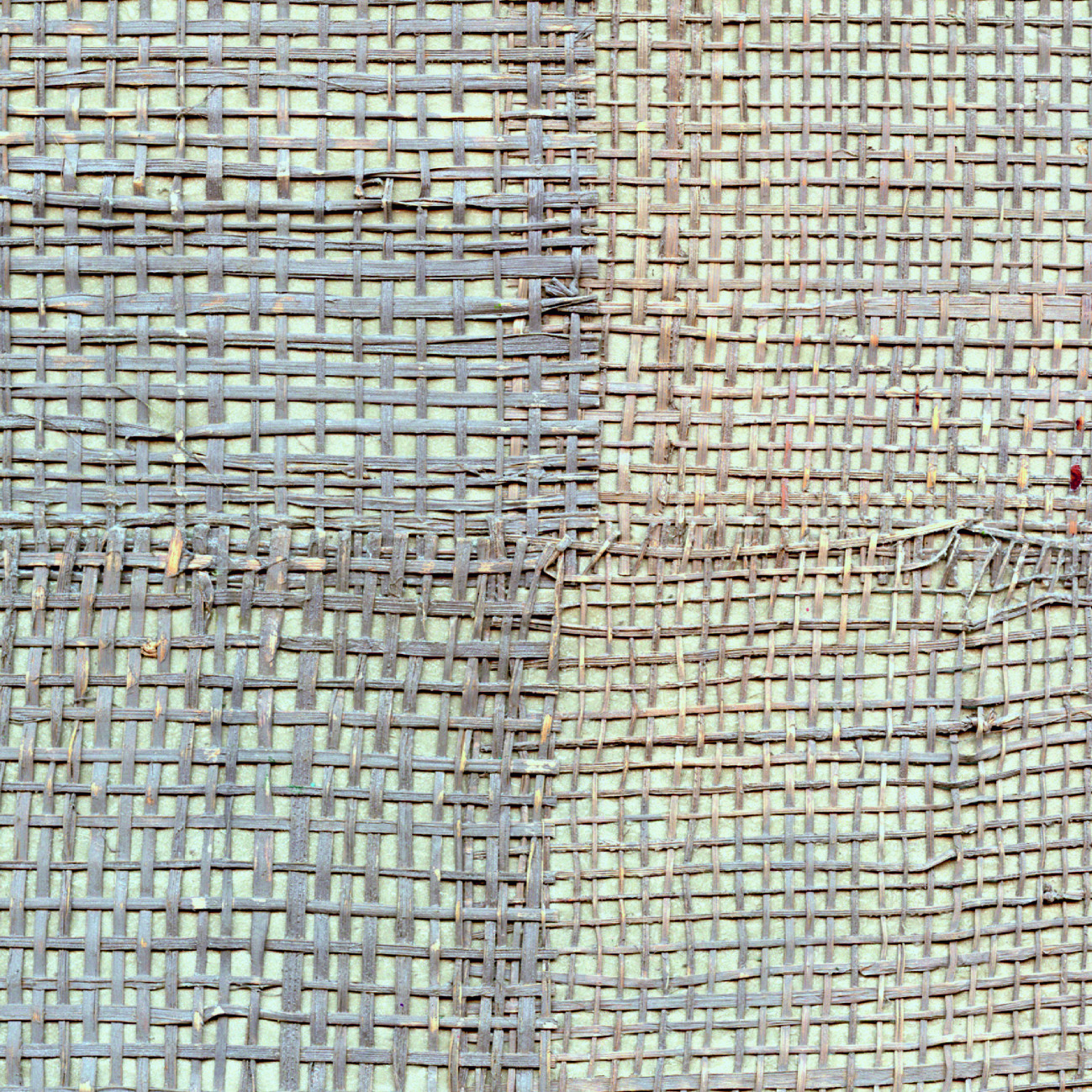 Élitis Pachira — Sous les figuiers wallpaper detail