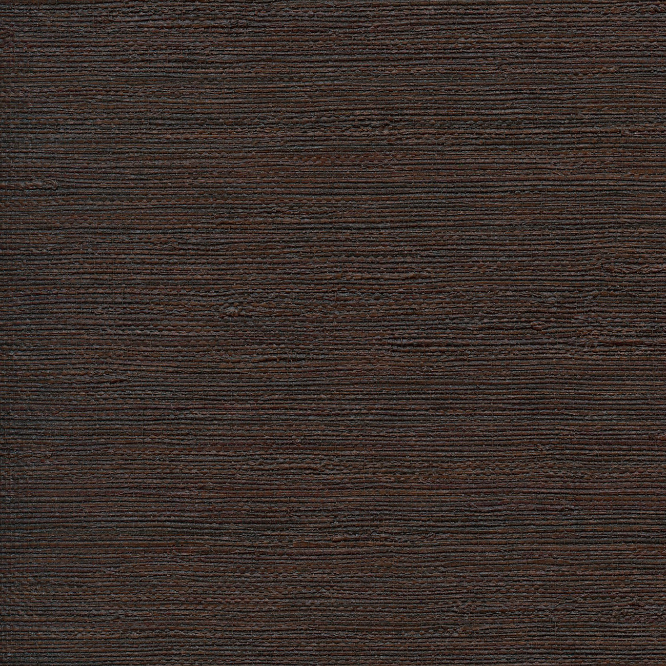 Élitis Zanzibar — L'étalon noir wallpaper detail