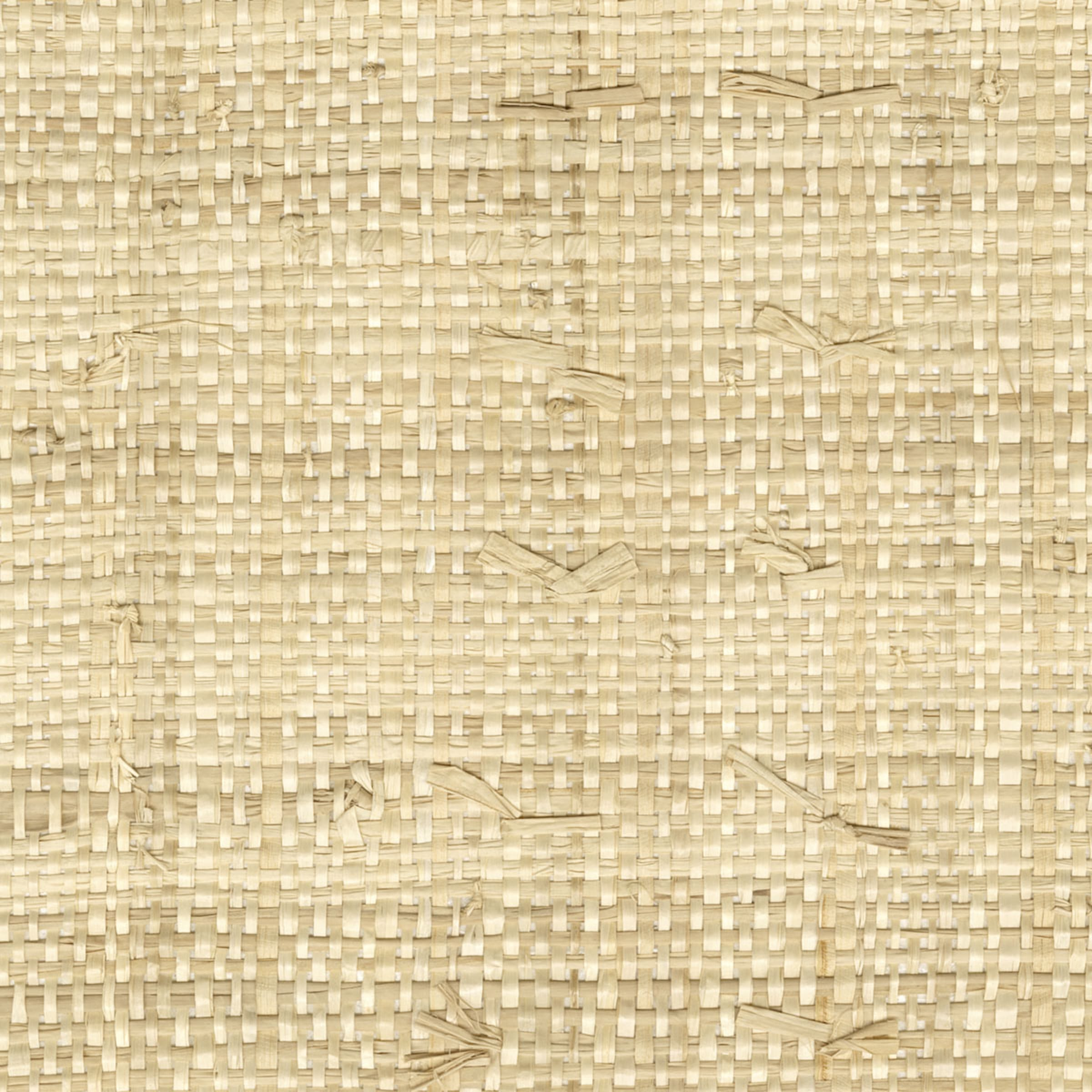 Élitis Iranja — Sous les tropiques wallpaper