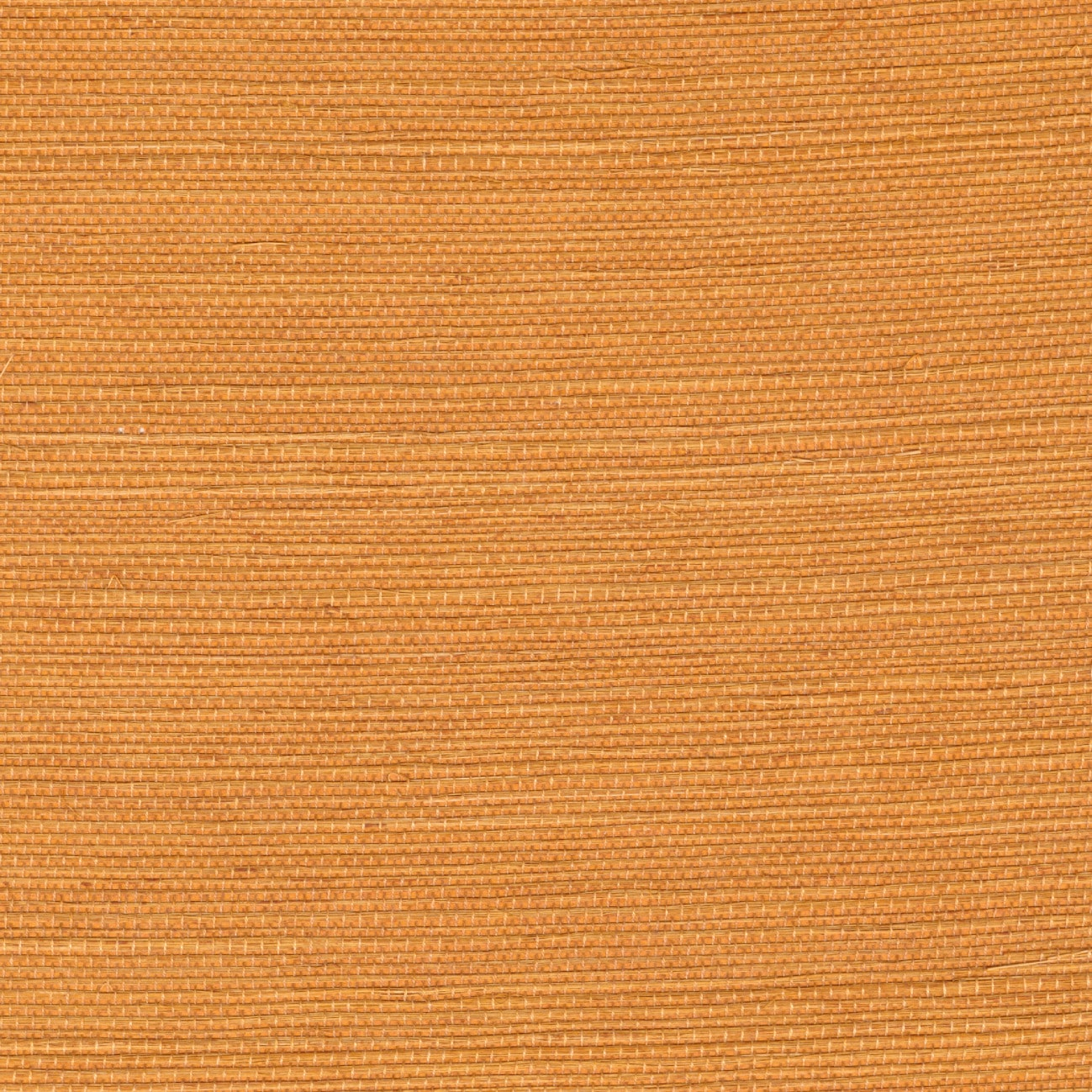 Élitis Sisal — Dorée au soleil 100% Sisal on paper backing wallpaper in Dorée au soleil