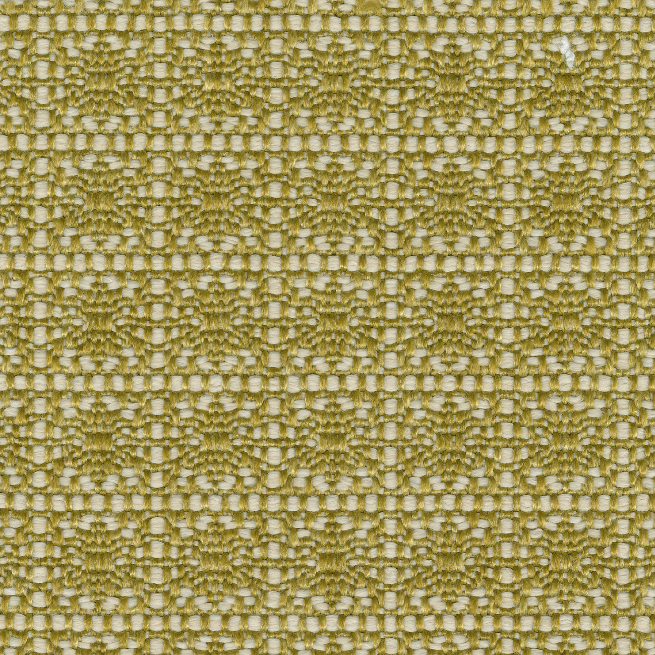 Élitis Santa Monica — Cactus du désert wallpaper detail