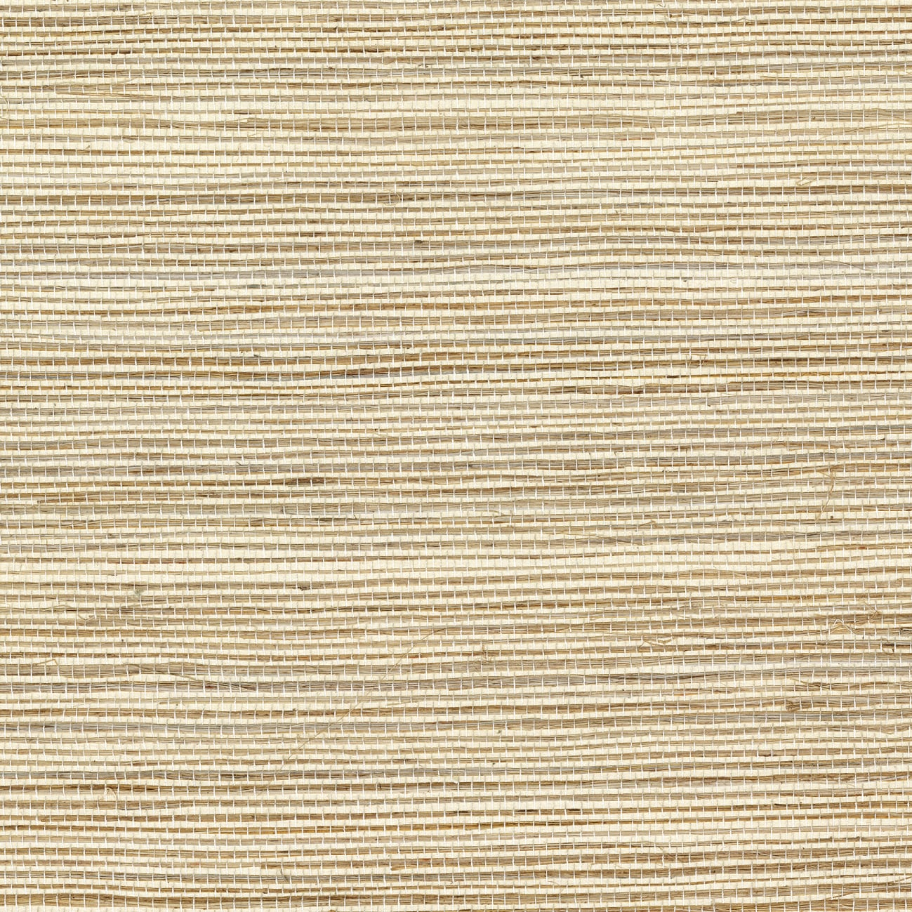 Élitis Favoris — Un chuchotement urbain 100% Sisal on paper backing wallpaper in Un chuchotement urbain