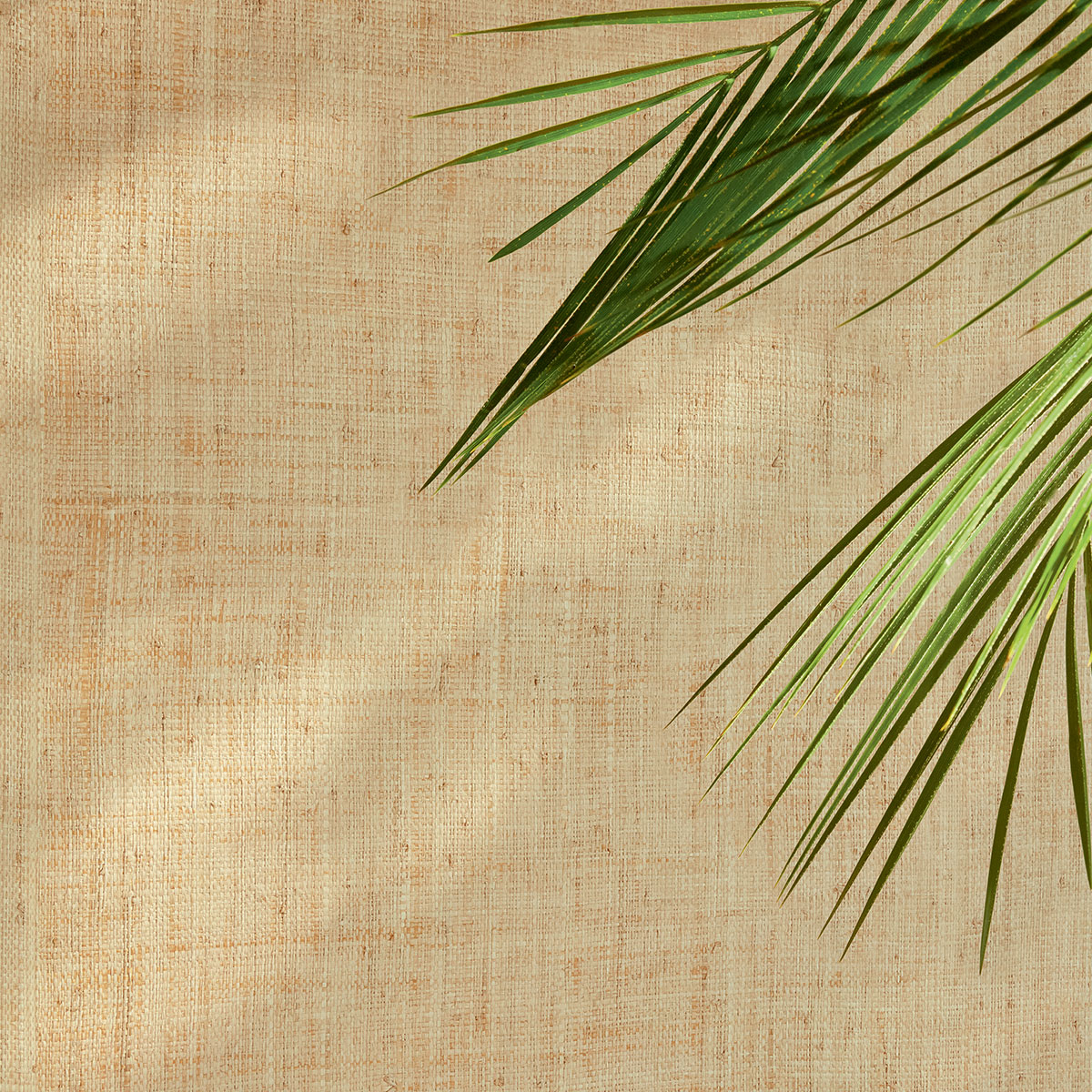 Élitis Cesteria — Refuge à Bali wallpaper detail