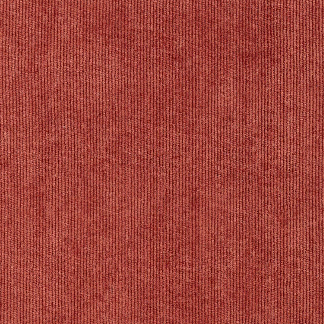 Élitis Garçonnière — Une élégance désinvolte 82% PES 15% PA 3% EA on non woven backing wallpaper in Une élégance désinvolte