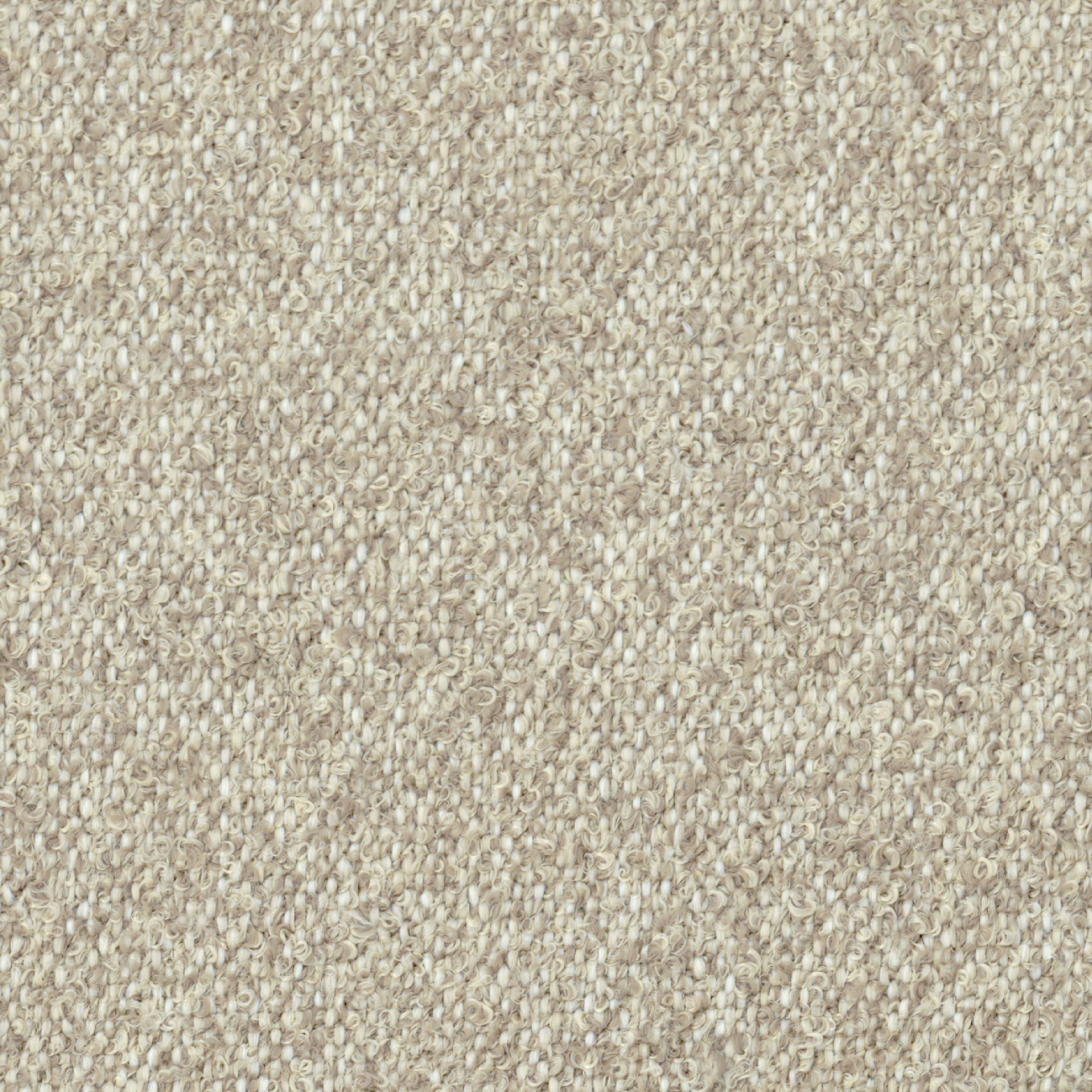 Élitis Paradou — Roseaux sauvages wallpaper