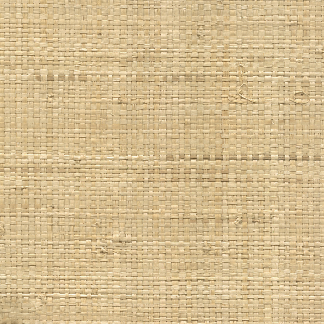 Élitis Robinson — La main de l'artisan Raffia on non woven base wallpaper in La main de l'artisan