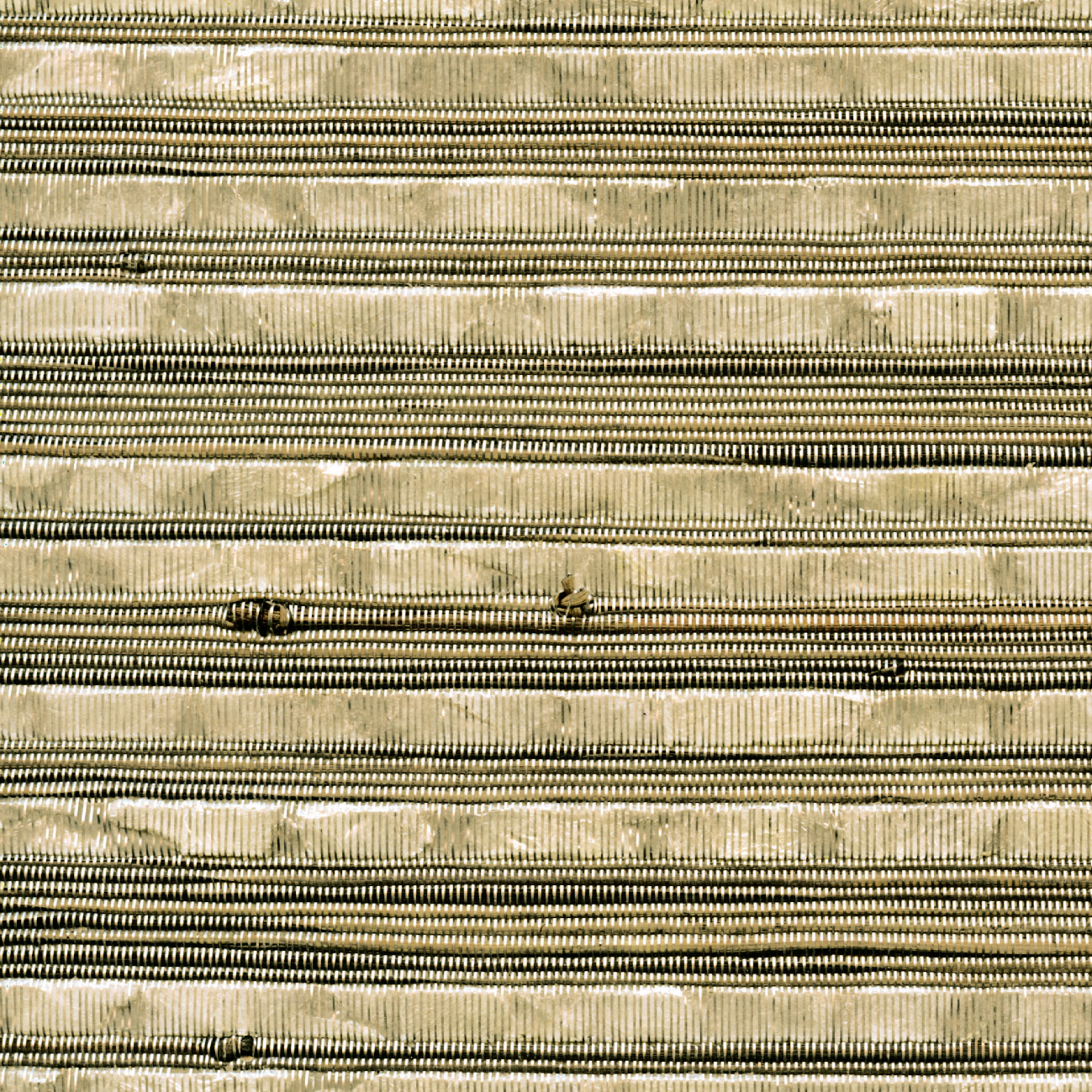 Élitis Éclat RM 887 — Se laisser émerveiller Shells, abaca fibers and metallic yarns on non woven base wallpaper in Se laisser émerveiller