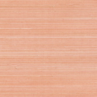 Élitis Coiba — Au rythme de belles rencontres 94% Abaca 6% Nylon on non woven backing wallpaper in Au rythme de belles rencontres