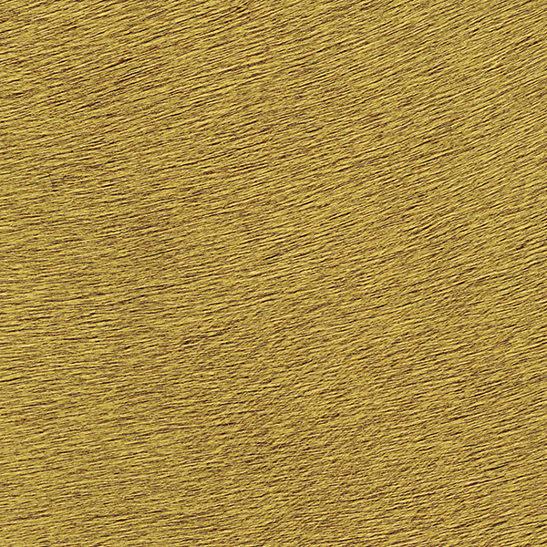 Élitis Movida — Captive du désert wallpaper detail