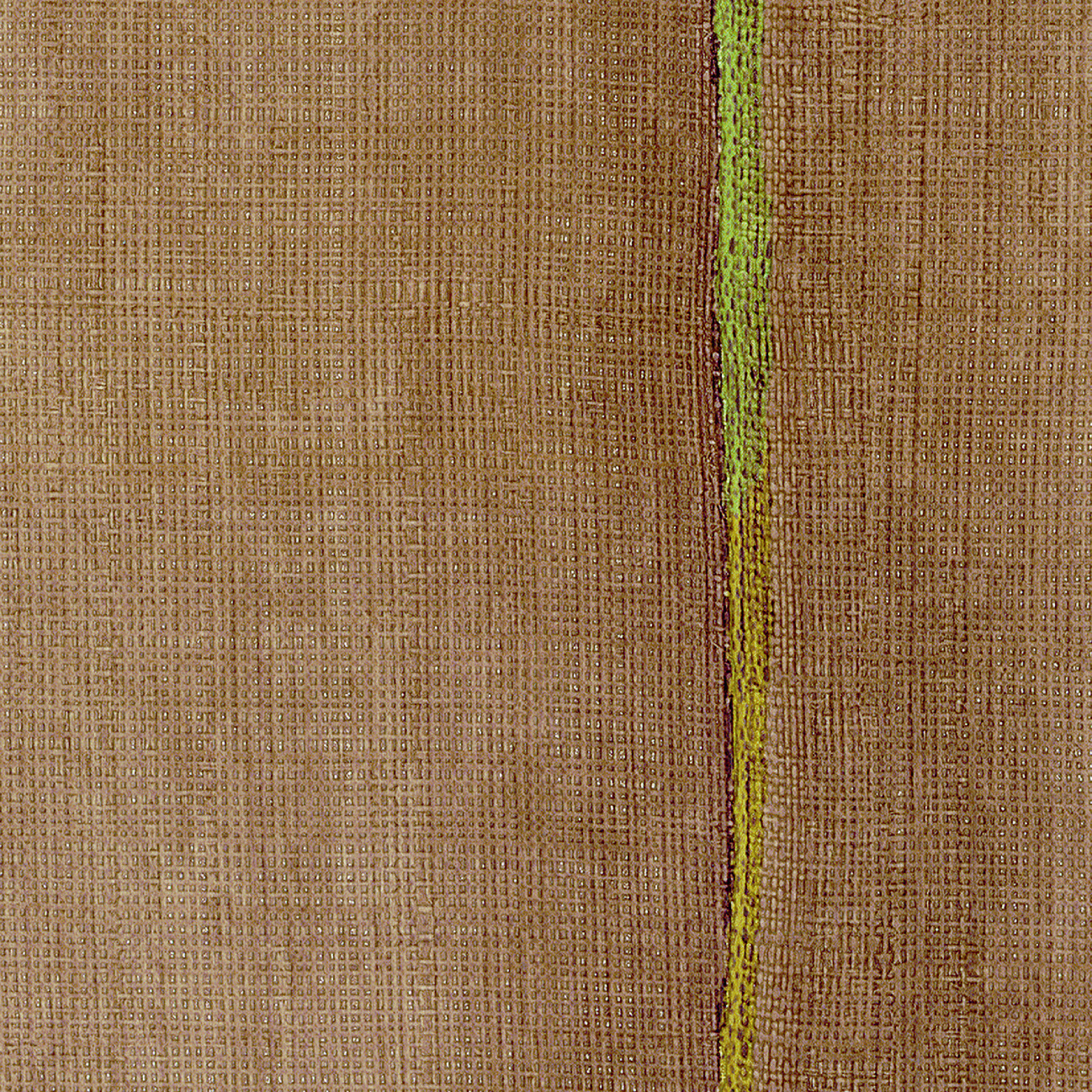 Élitis Volos — Une rebelle sauvage Vinyl on non woven backing wallpaper in Une rebelle sauvage