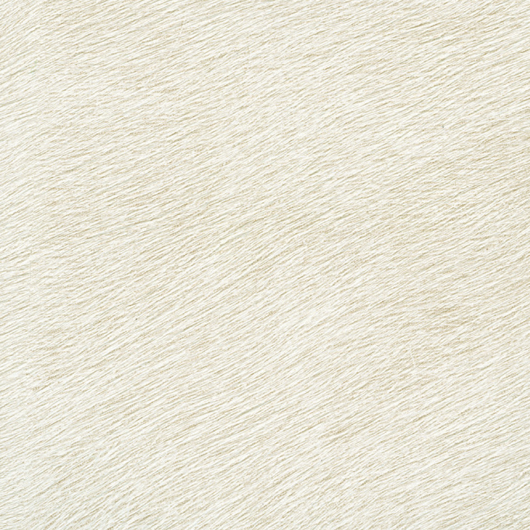 Élitis Movida — Dialogues silencieux wallpaper detail