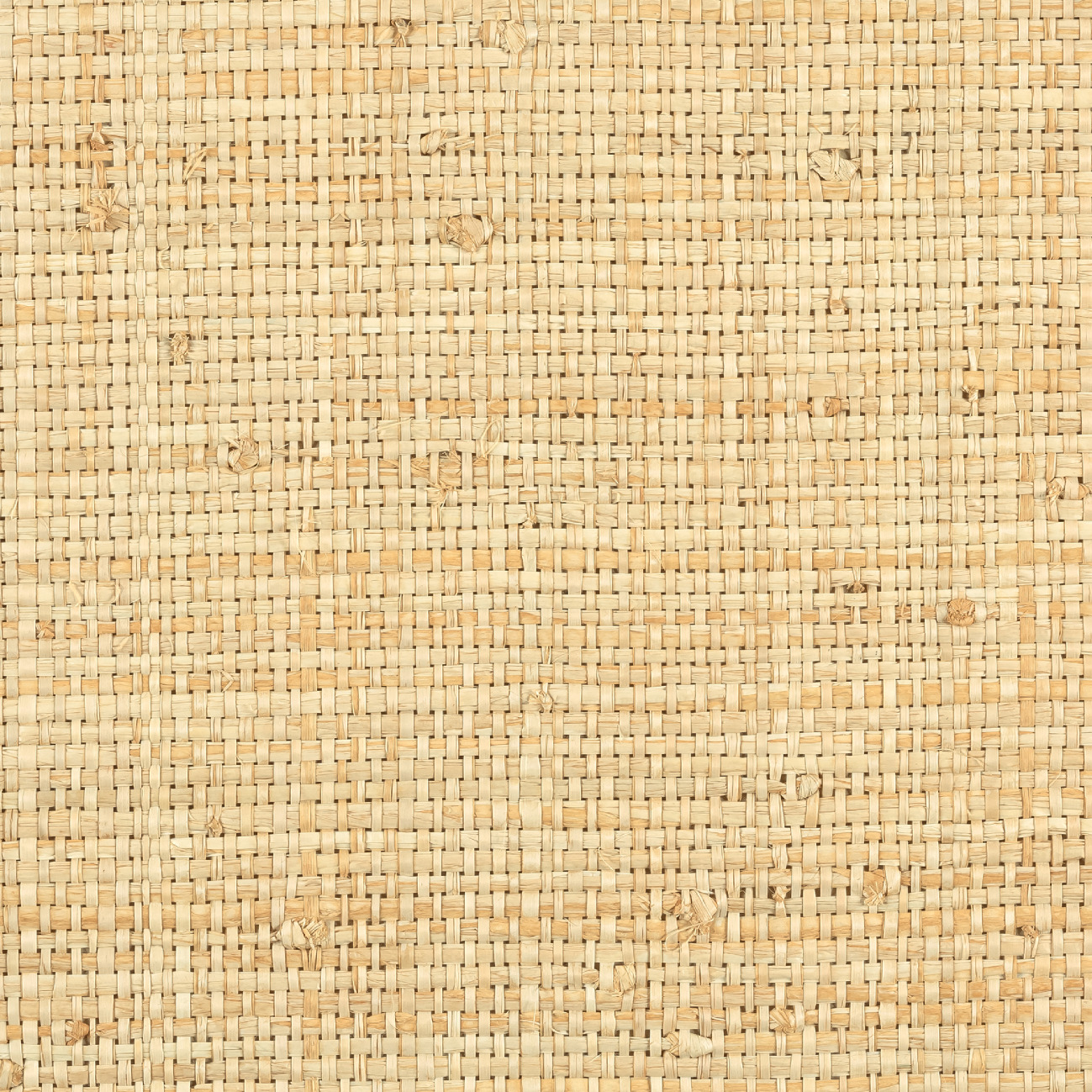 Élitis Cesteria — Refuge à Bali 100% Raffia on non woven backing wallpaper in Refuge à Bali
