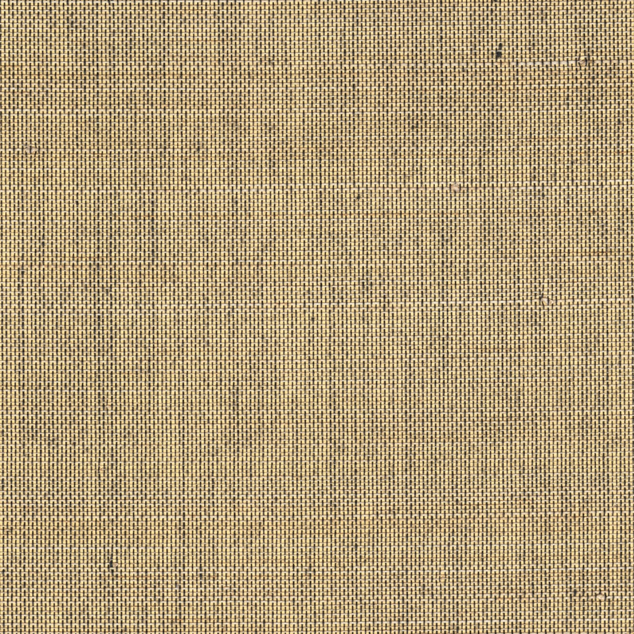 Élitis Pur abaca — Une dimension céleste 100% Abaca on paper backing wallpaper in Une dimension céleste