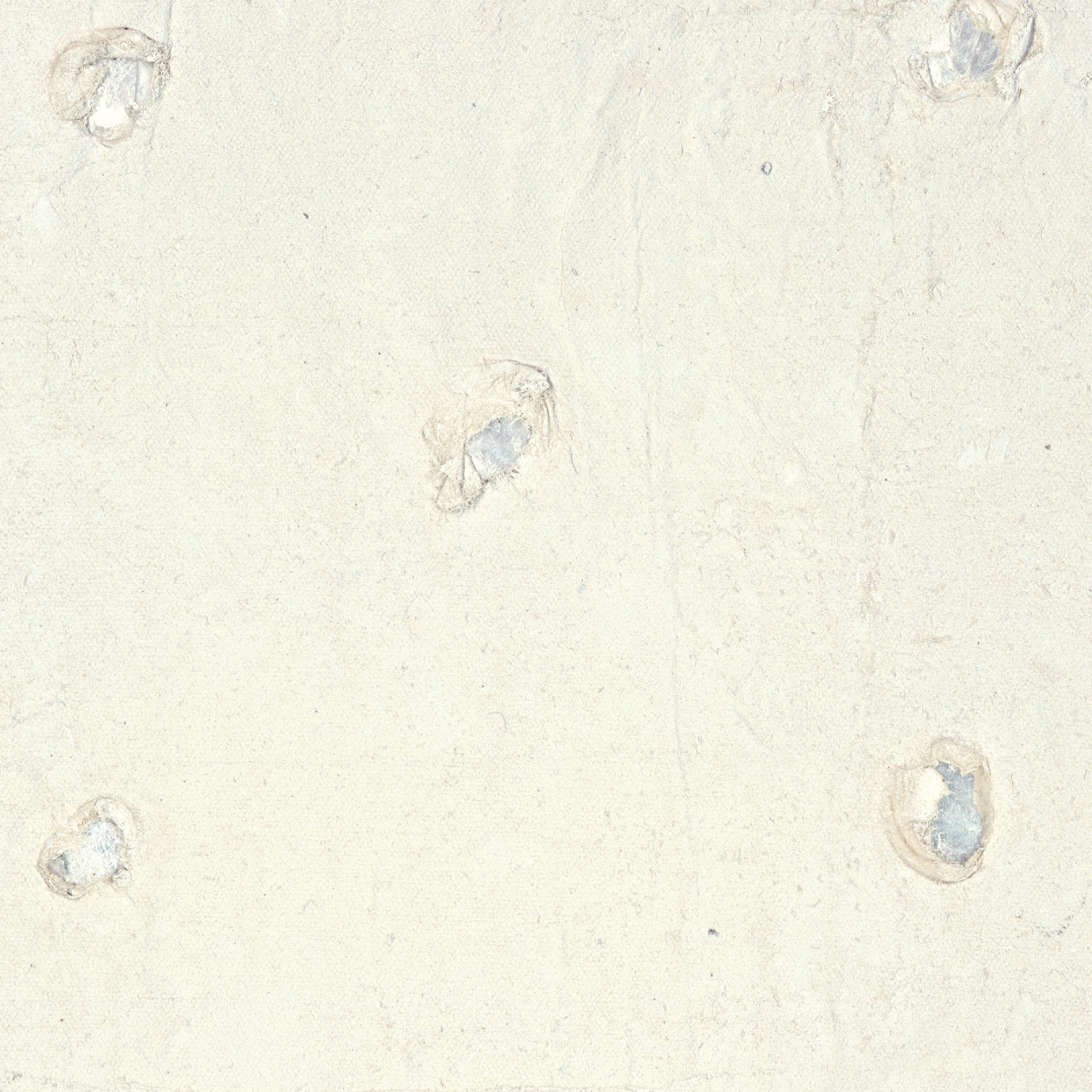 Élitis Naha — Un esprit contemplatif wallpaper detail
