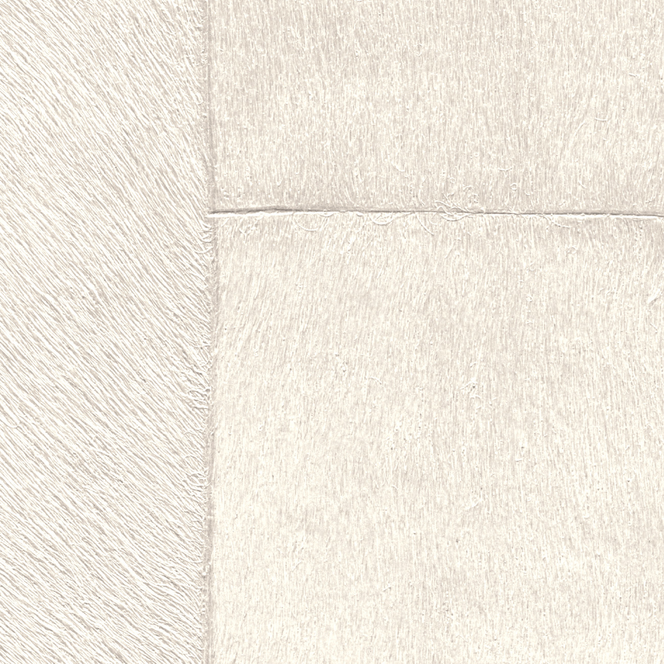 Élitis Appaloosa — L'ours blanc wallpaper
