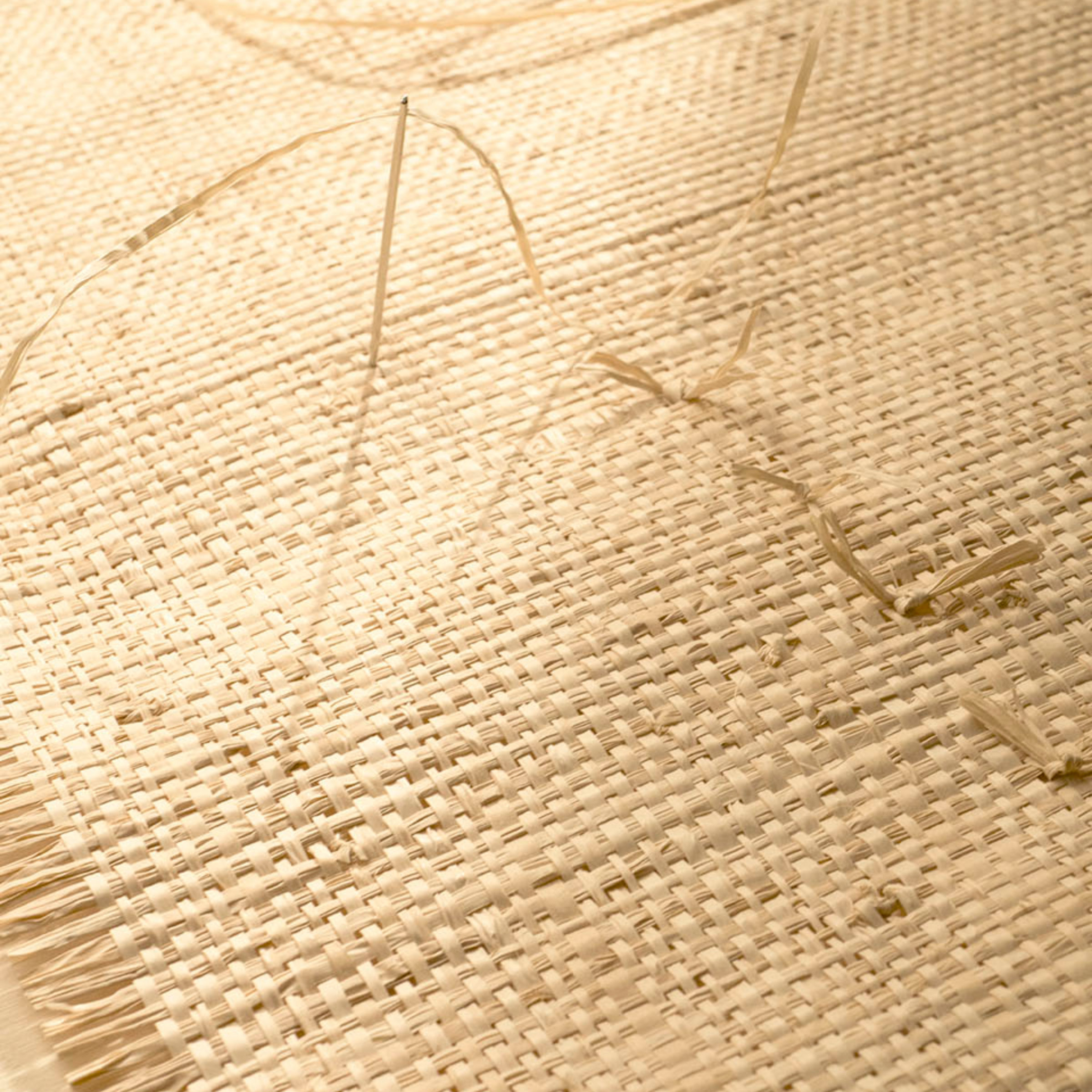 Élitis Iranja — Sous les tropiques wallpaper detail