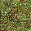 Élitis De lac en lac — L'éveil de la nature wallpaper detail