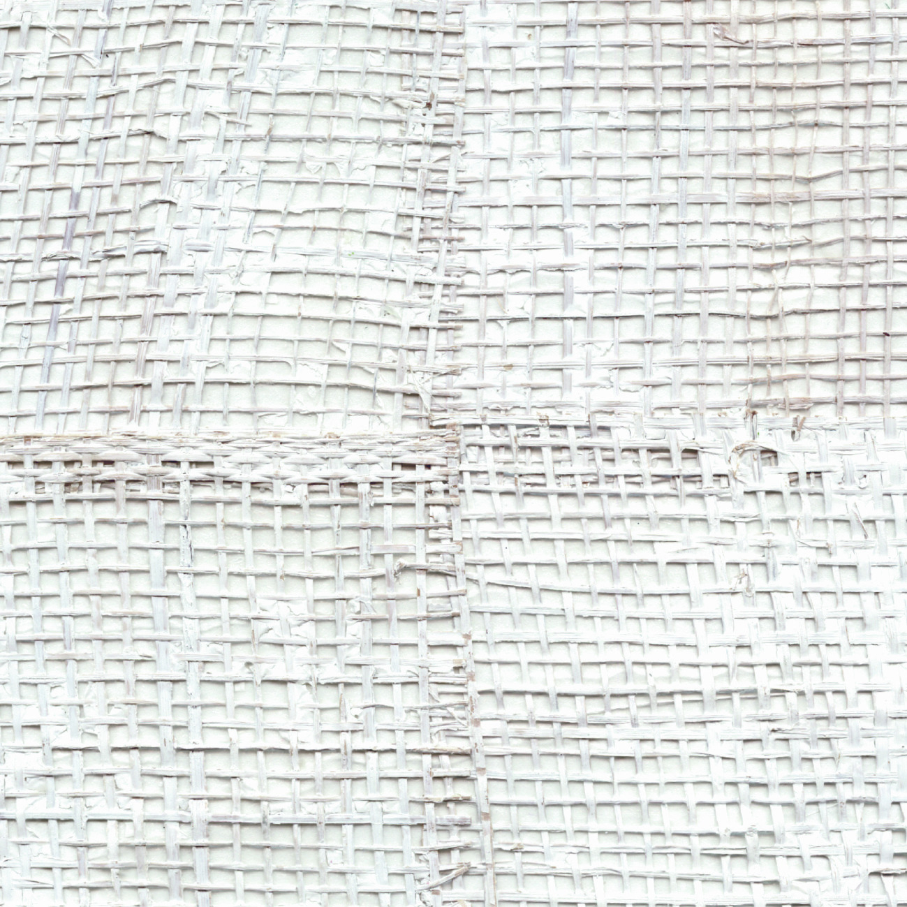 Élitis Pachira — L'innocence détournée wallpaper detail