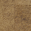 Élitis Movida HPC — Une belle corde à son arc wallpaper detail