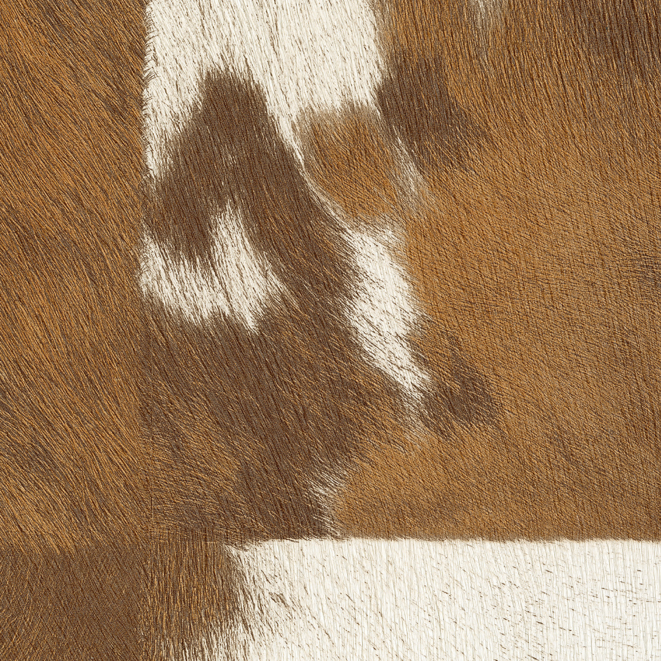 Élitis Veracruz — L'esprit d'un chalet wallpaper