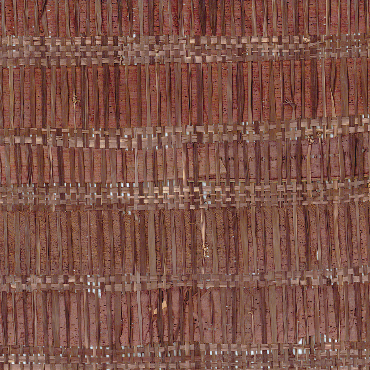 Élitis Boraha — Un lien sauvage wallpaper detail