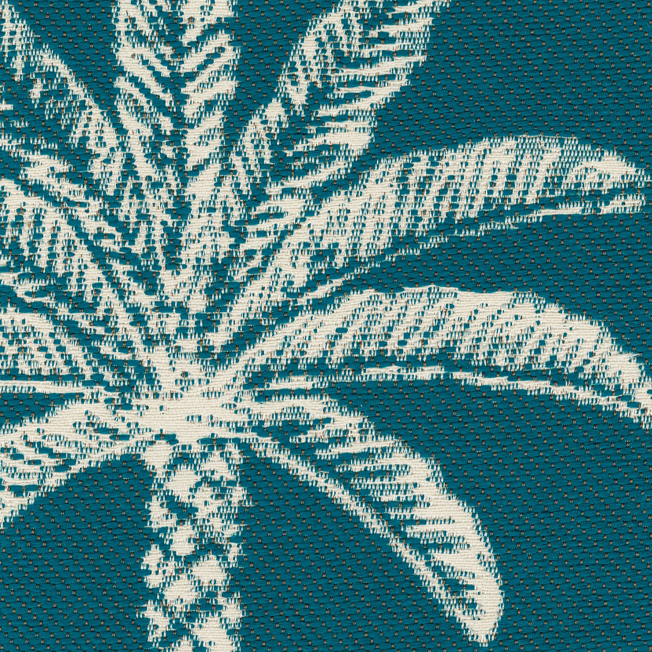Élitis Los Angeles — Surfer sur la vague wallpaper detail