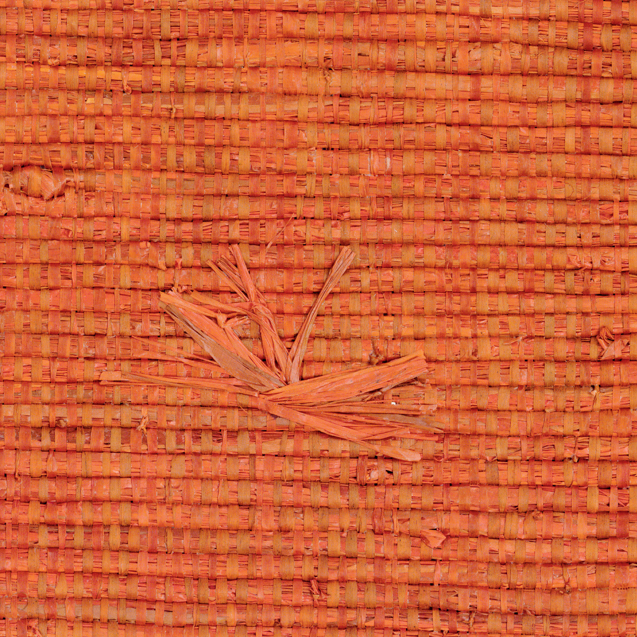 Élitis Nosy Be — Jet set avant l'heure 100% Natural raffia on non woven backing wallpaper in Jet set avant l'heure