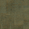 Élitis Empreinte — Faire le paon! wallpaper detail