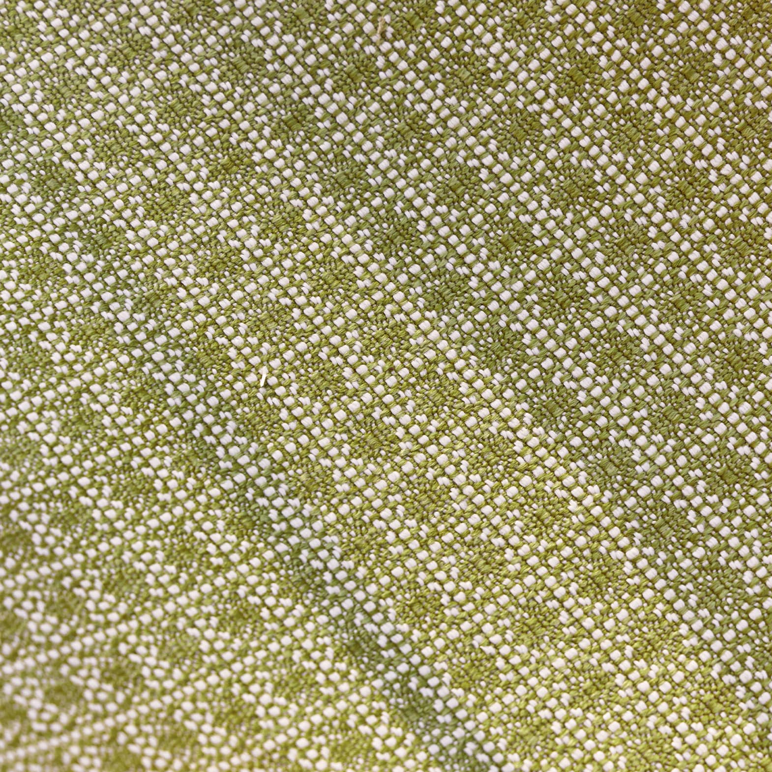 Élitis Santa Monica — Cactus du désert wallpaper detail