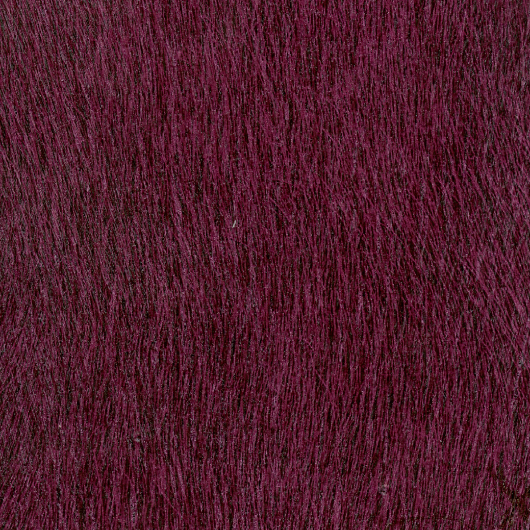 Élitis Movida — Troubler les esprits wallpaper