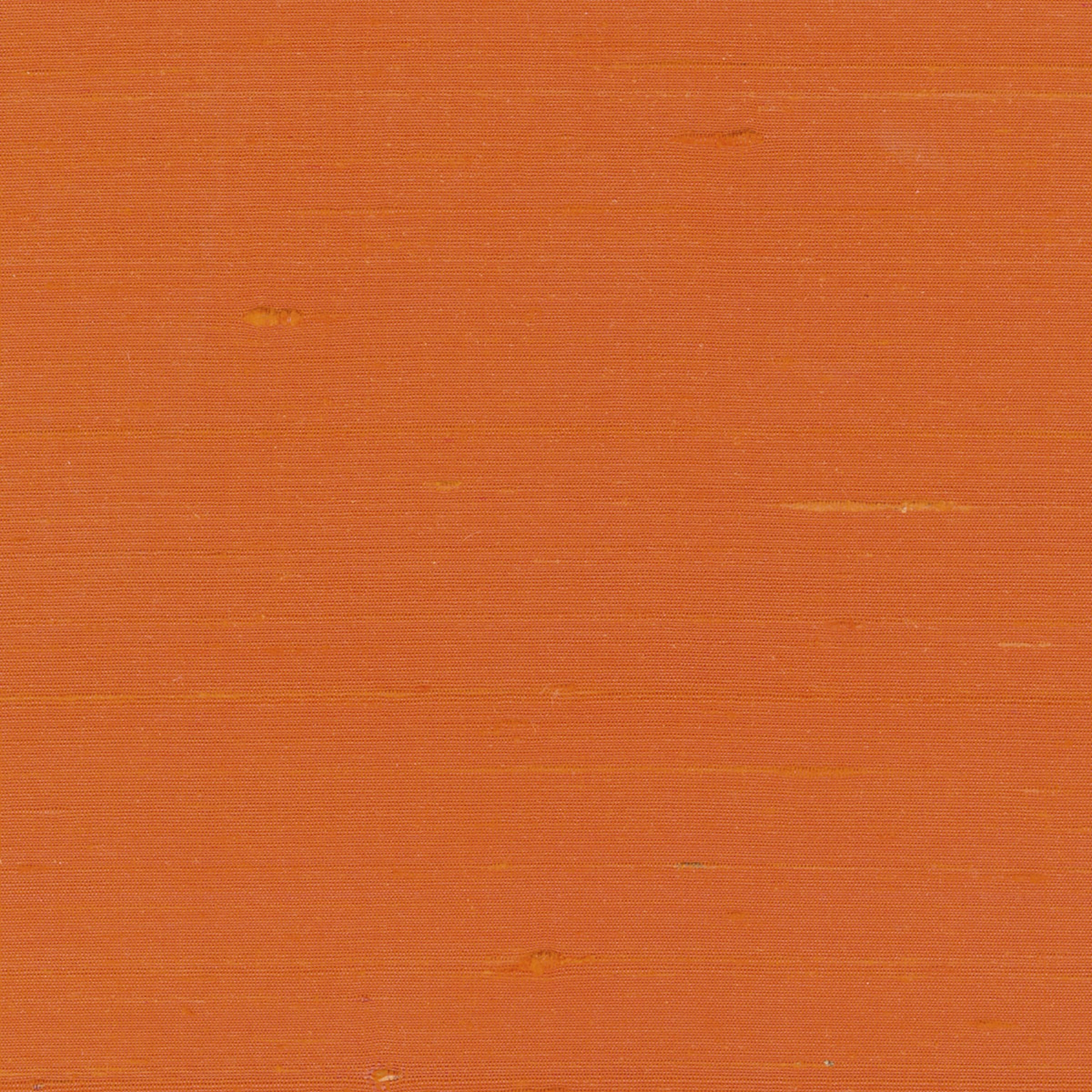 Élitis Forever II — Tisser sa légende 100% Silk on non woven backing wallpaper in Tisser sa légende