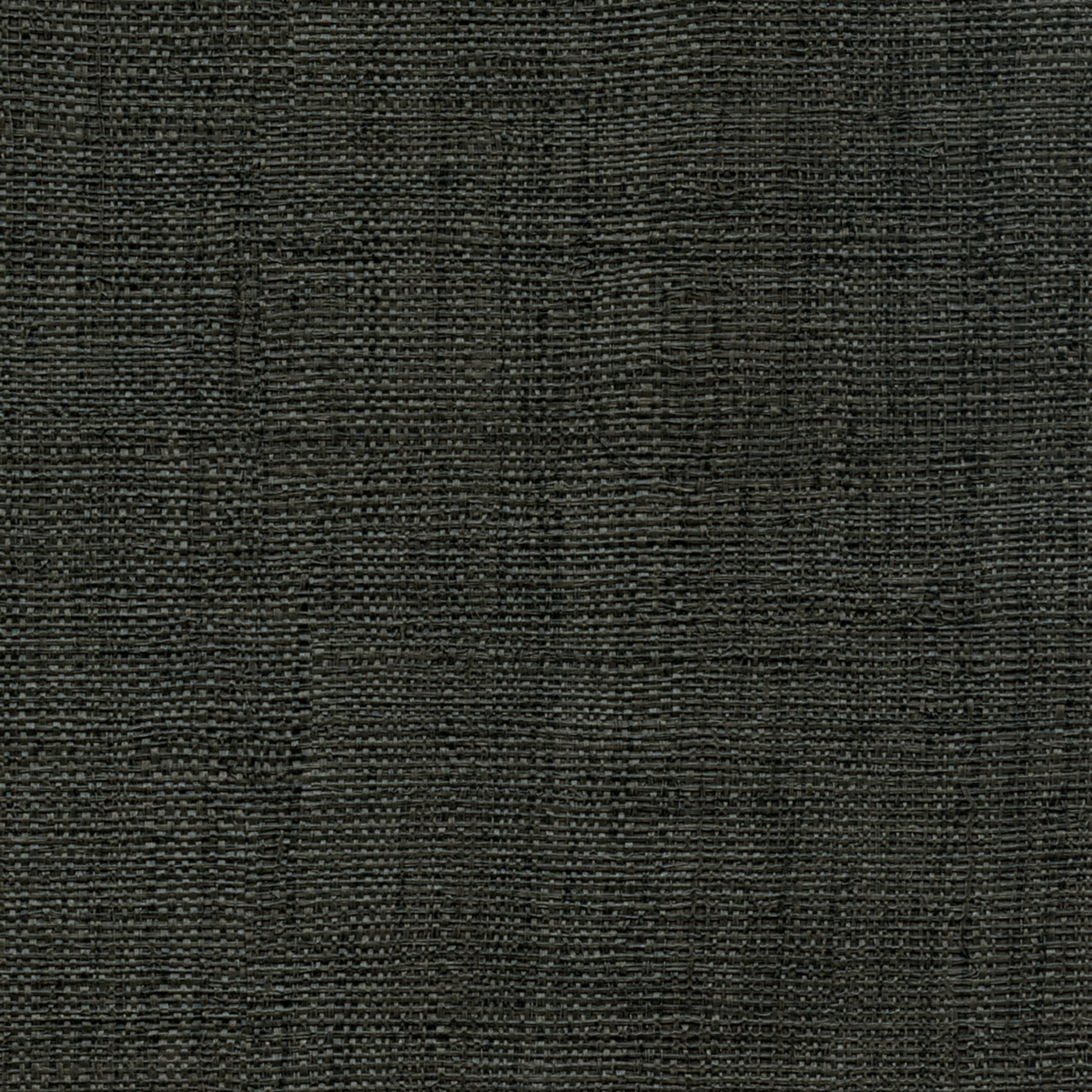 Élitis Madagascar — Pour mieux la sublimer Vinyl on non woven backing wallpaper in Pour mieux la sublimer