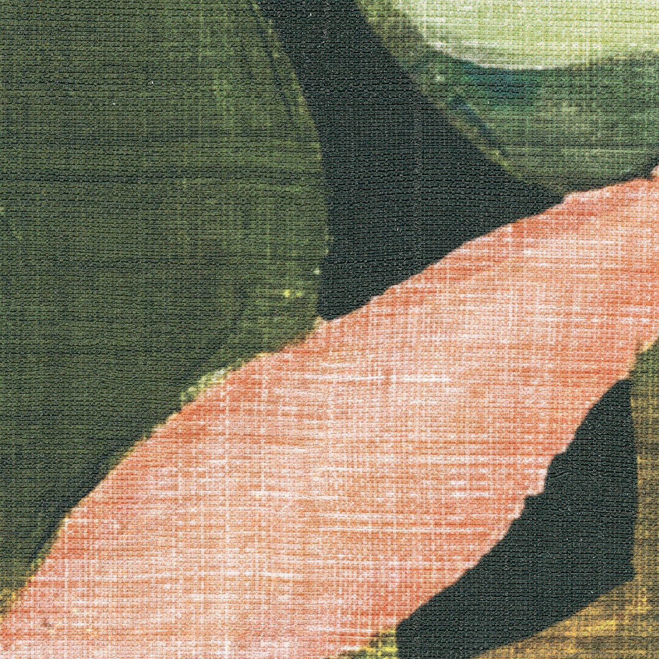 Élitis Costalegre — Un paradis sauvage (panoramique) wallpaper detail