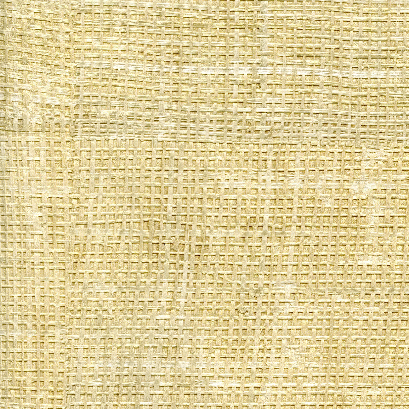 Élitis Raffia — Jeunesse éternelle Vinyl on a paper ground wallpaper in Jeunesse éternelle