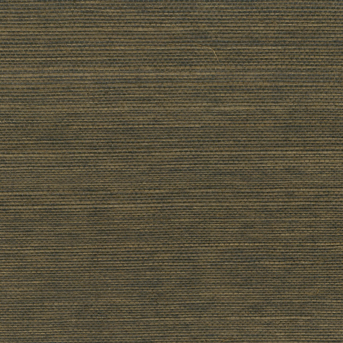 Élitis Sisal — Un luxe raffiné wallpaper