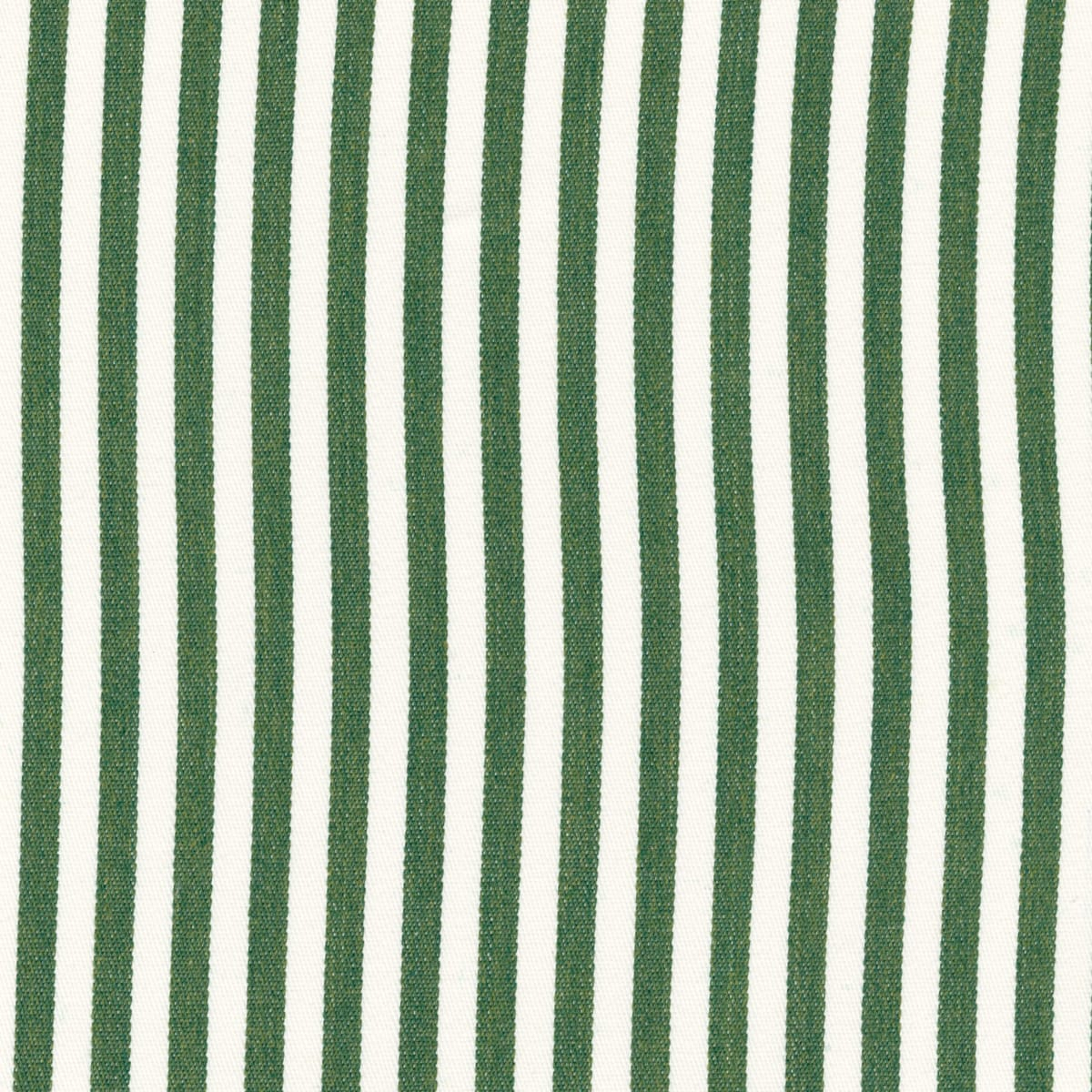 Élitis James — Lignes dun été vert 100% PAN wallpaper in Lignes dun été vert
