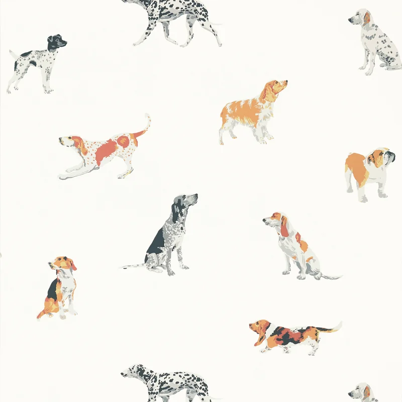 Thibaut Buddy — Multi Wallpaper wallpaper in Multi