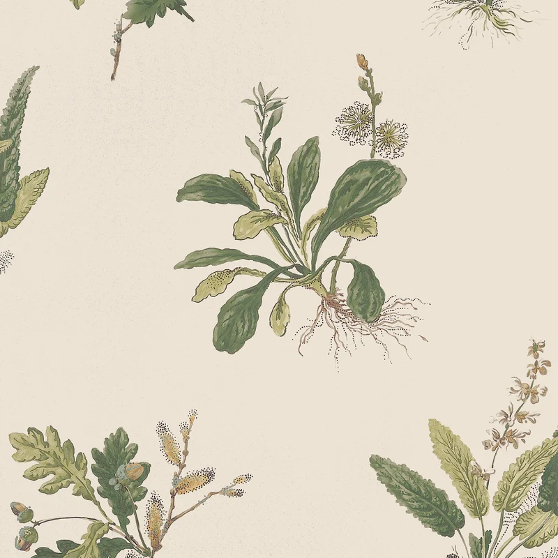 Thibaut Woodland — Green on Natural Non Woven wallpaper in Green on Natural